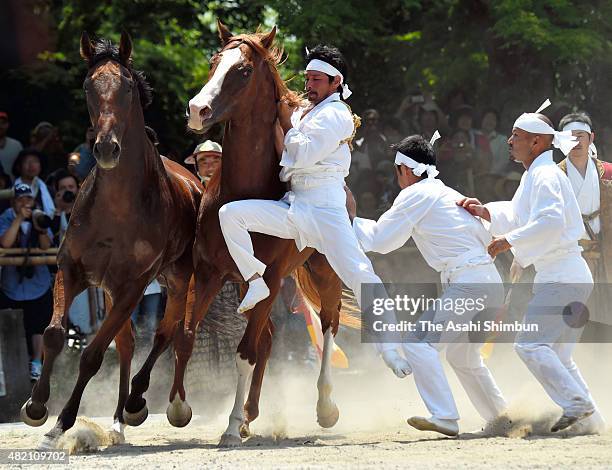 Men wearing white clothes called 'Okobito' try to capture a bareback horse with bare hands during the 'Nomakake ' ritual to dedicate horses to the...