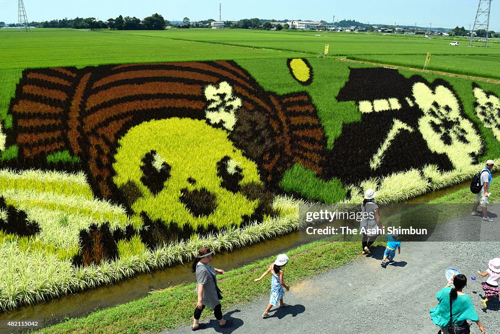 Rice Paddy Art in Mito