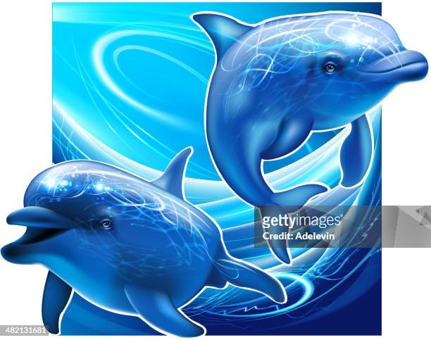 zwei delphine unter meer - delfin stock-grafiken, -clipart, -cartoons und -symbole