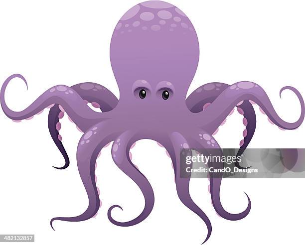 illustrations, cliparts, dessins animés et icônes de poulpe préparé - octopus