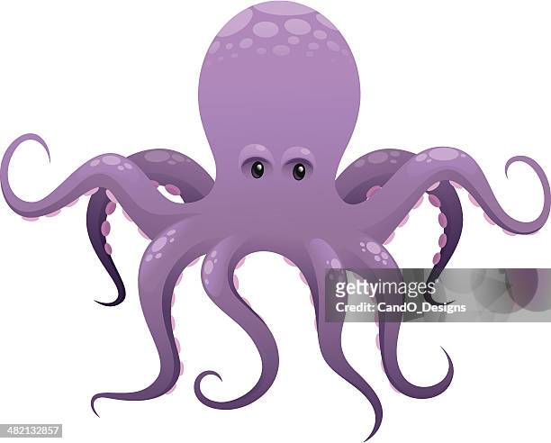 illustrazioni stock, clip art, cartoni animati e icone di tendenza di polpo - octopus