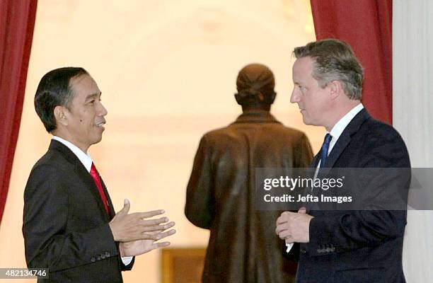 Indonesian President Joko Widodo and British Prime Minister David Cameron chat before bilateral meetings outside the Presidential Palace on July 27,...