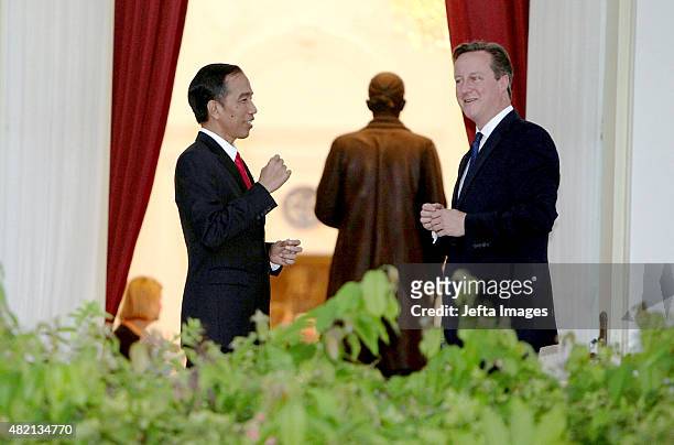 Indonesian President Joko Widodo and British Prime Minister David Cameron chat before bilateral meetings outside the Presidential Palace on July 27,...