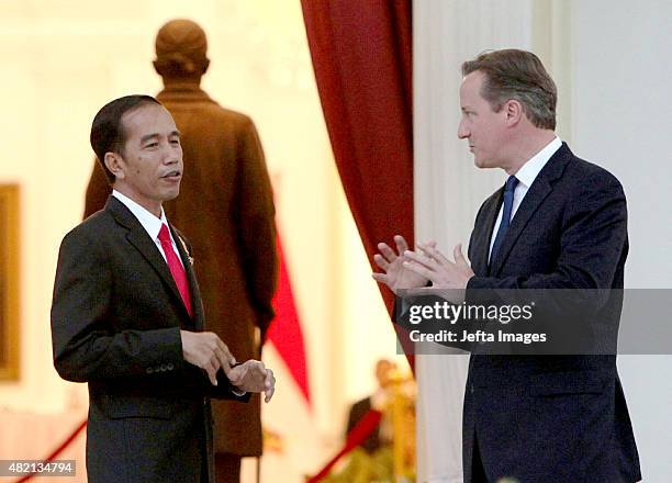 Indonesian President Joko Widodo and British Prime Minister David Cameron chat before bilateral meetings outside the Presidential Palace on July 27,...