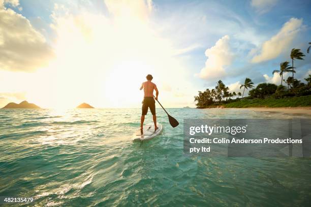 caucasian man on paddle board in ocean - tropisch eiland stockfoto's en -beelden