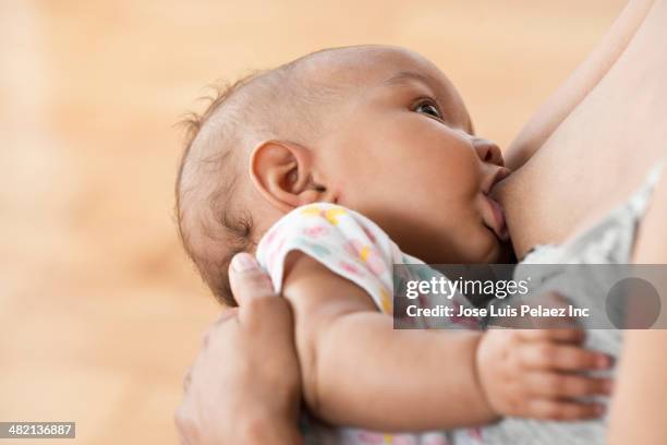 mother breastfeeding baby - brustwarze stock-fotos und bilder