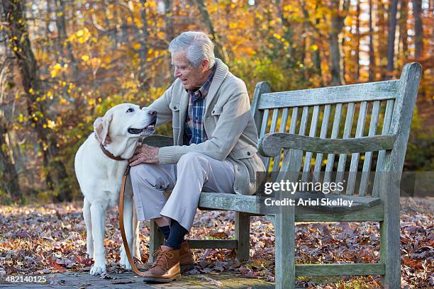 senior caucasian man petting dog on park bench - solo un uomo anziano foto e immagini stock