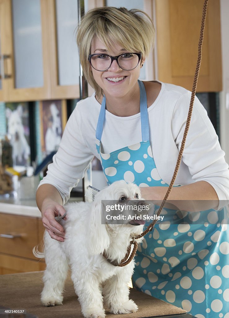 Caucasian groomer trimming shih tzu dog