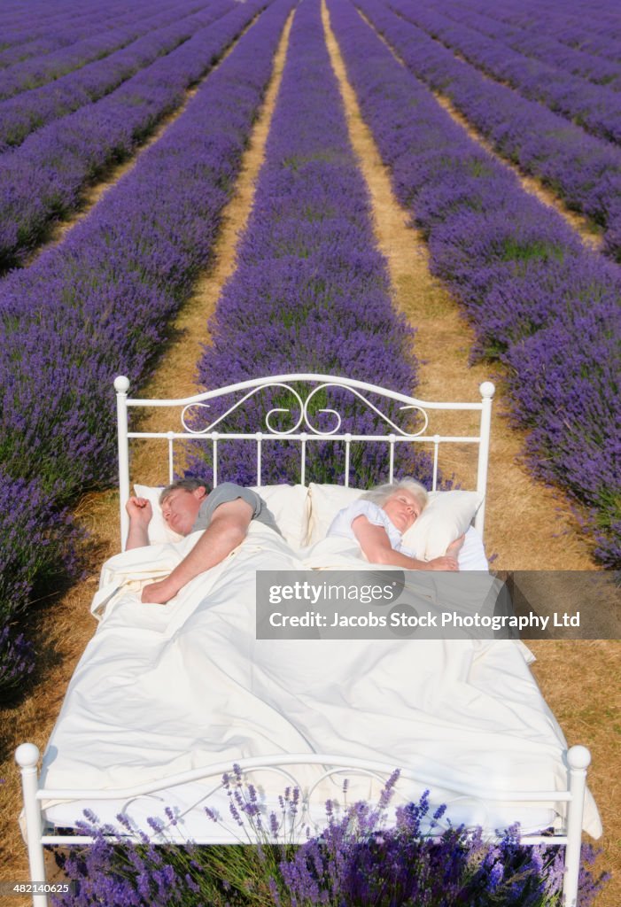 Caucasian couple sleeping in bed in lavender field