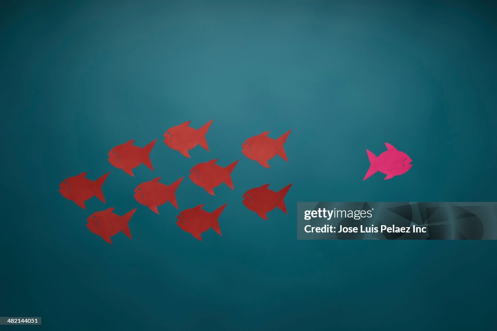 Pink fish swimming in opposite direction from red fish