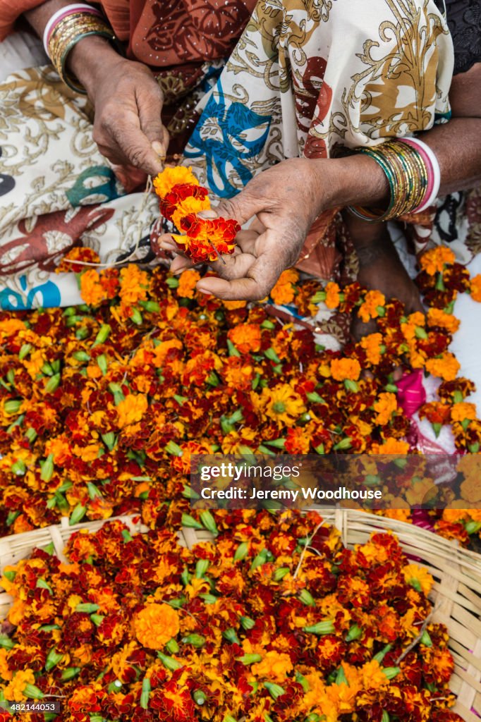 Woman making marigold garlands, New Delhi, Delhi, India