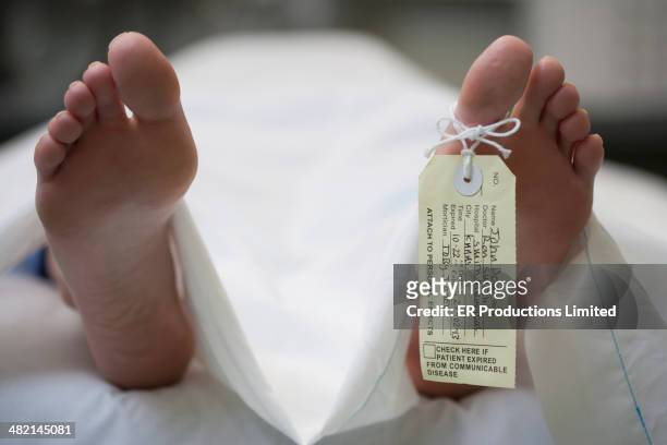 tag on foot of caucasian body on gurney - morgue feet stock pictures, royalty-free photos & images