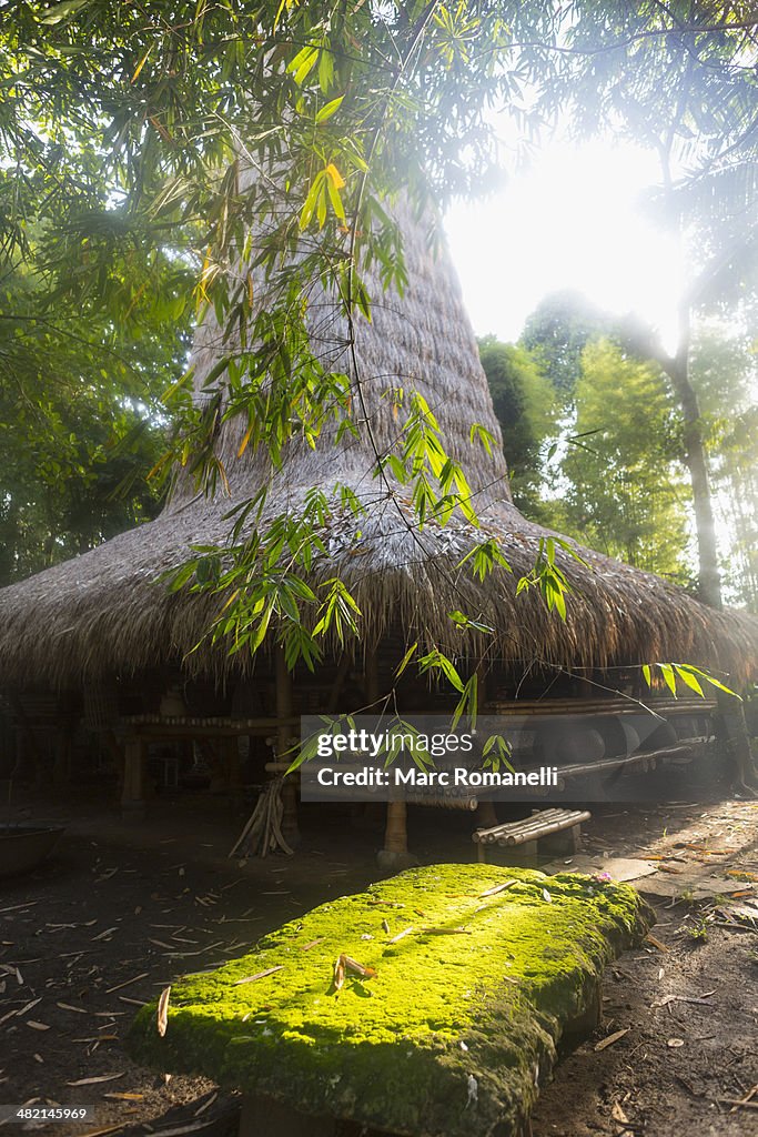 Trees around thatched Balinese hut, Ubud, Bali, Indonesia