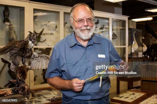 caucasian man working with specimens in natural history museum - taxidermy bildbanksfoton och bilder