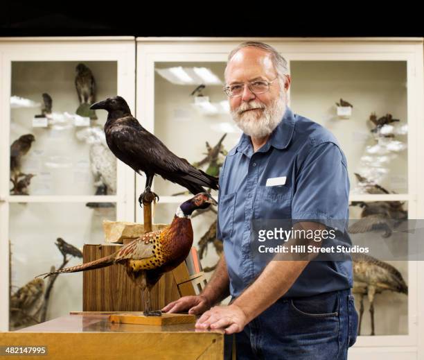 caucasian man working in natural history museum - dead crow stock-fotos und bilder