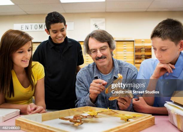 teacher showing butterfly specimens to students - archaeological science stockfoto's en -beelden