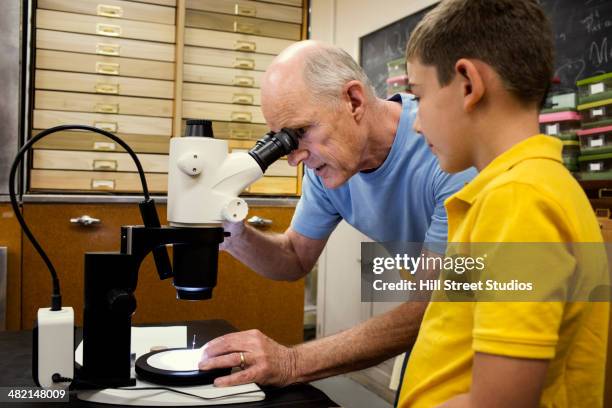 teacher and student using microscope in laboratory - curator stock pictures, royalty-free photos & images