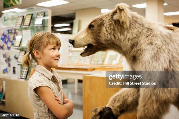 caucasian girl examining stuffed bear in museum - national museum of natural science stock pictures, royalty-free photos & images