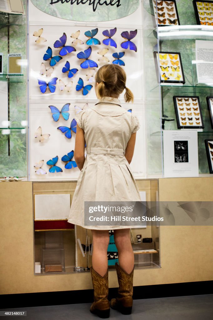 Caucasian girl examining butterfly specimens in museum