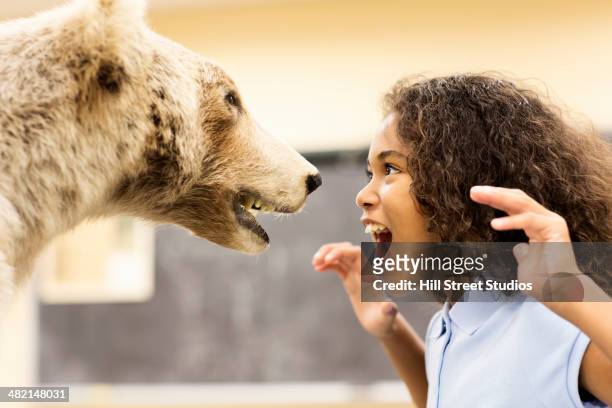 student growling at stuffed bear in museum - archaeology science stock pictures, royalty-free photos & images