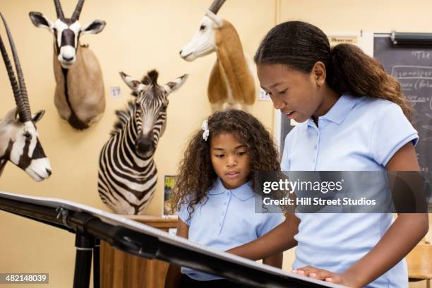 students reading display in museum - natural history museum bildbanksfoton och bilder