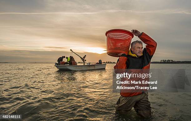 caucasian fisherman carrying basket in water - fresh fish stockfoto's en -beelden