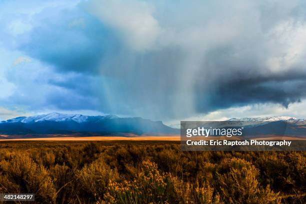 storm clouds moving across rural prairie, orovada, nevada, united states - nevada landscape stock pictures, royalty-free photos & images