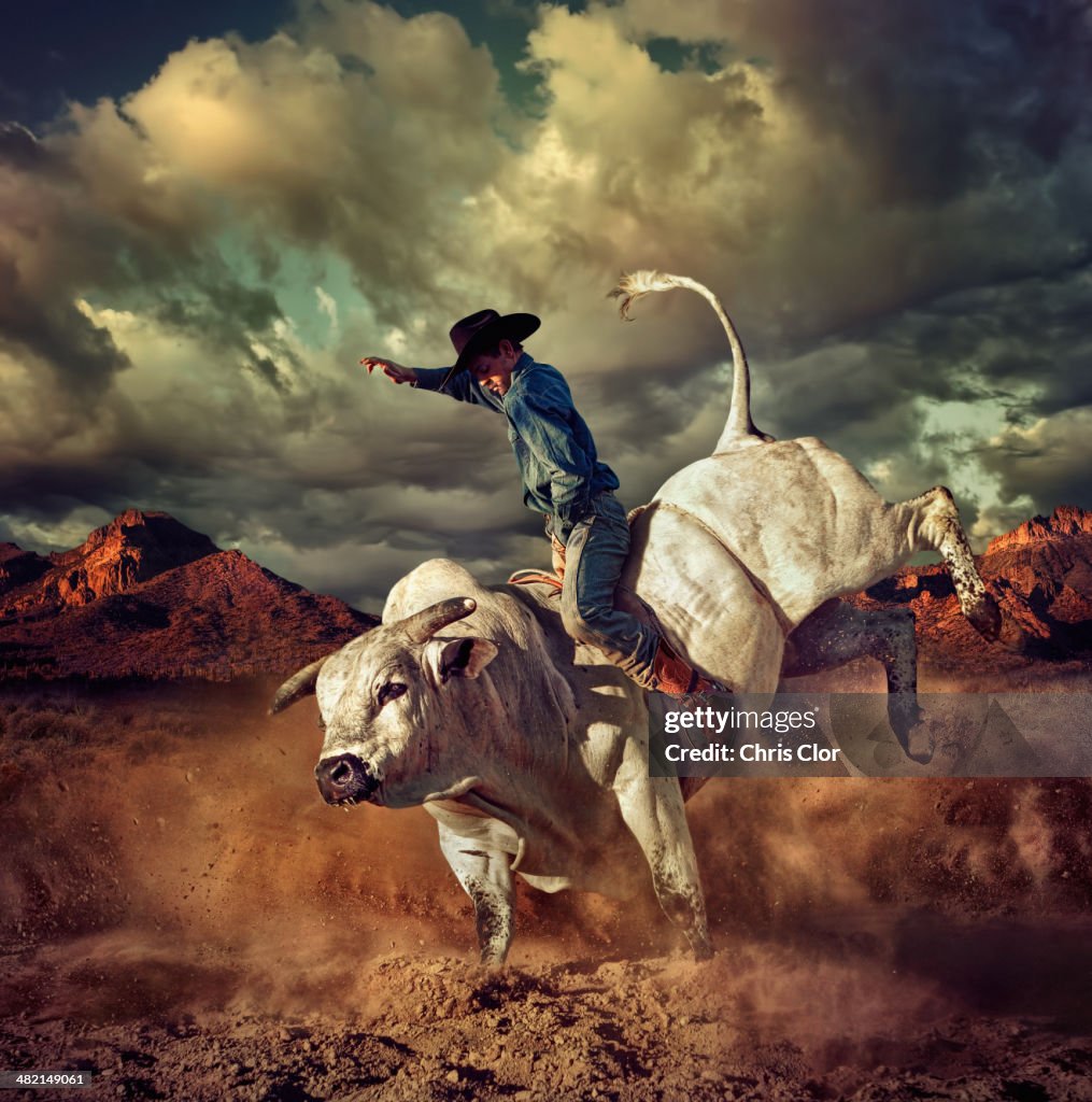 Caucasian cowboy riding bucking bull in desert