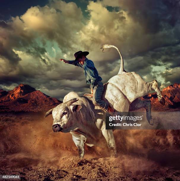 caucasian cowboy riding bucking bull in desert - rodeo stockfoto's en -beelden