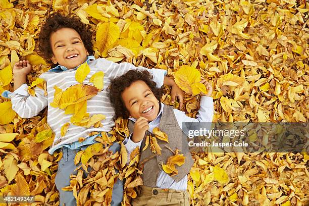 mixed race boys laying in yellow autumn leaves - golden boy stock pictures, royalty-free photos & images