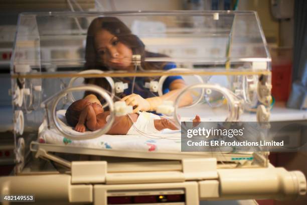 nurse tending to newborn in incubator - neonatal intensive care unit fotografías e imágenes de stock