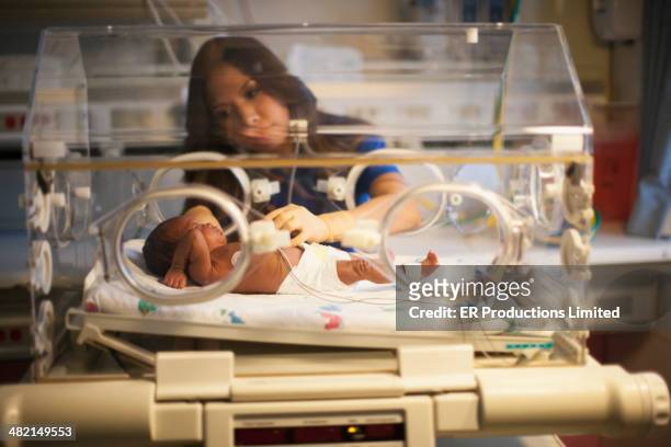nurse tending to newborn in incubator - prematuro - fotografias e filmes do acervo