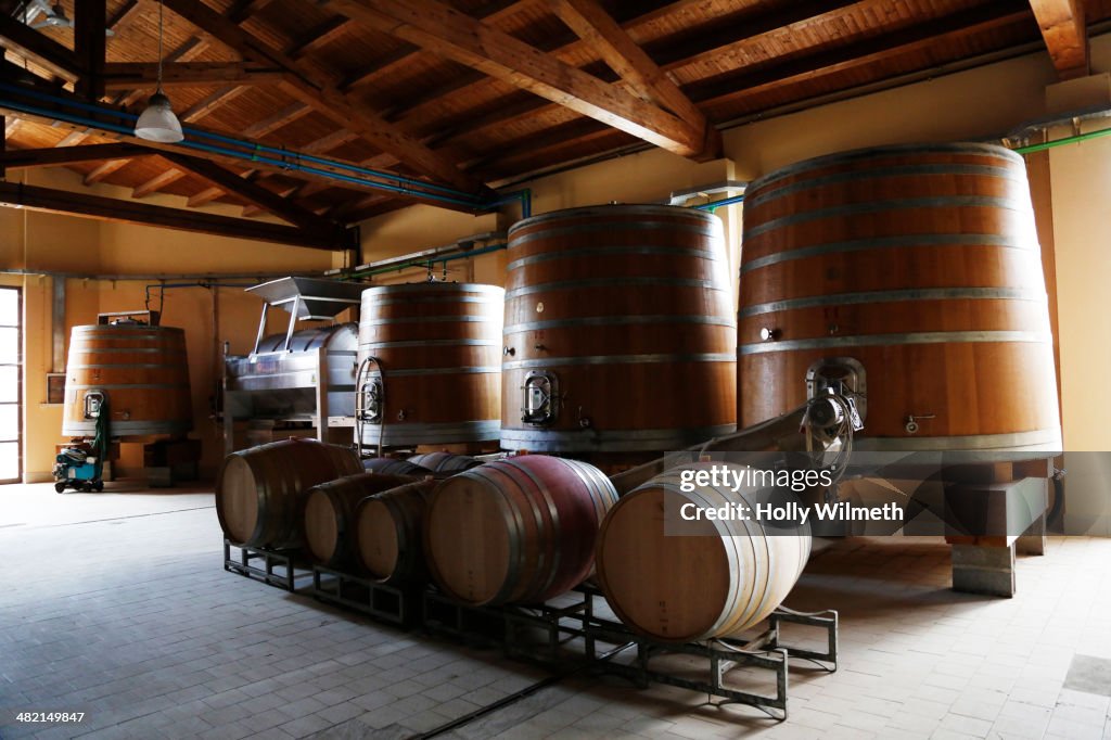 Wine barrels in vineyard storehouse