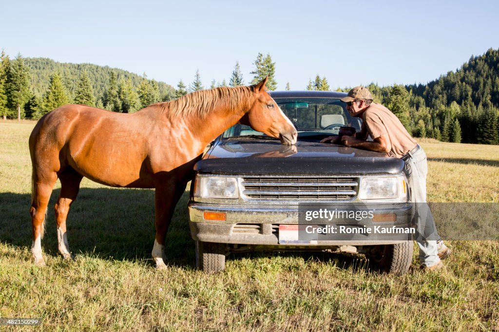 Caucasian man and horse on truck in rural landscape