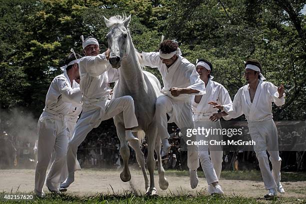 Okobito men try to catch a wild horse in the Nomakake ritual at the Soma Odaka Jinja Shrine during the Soma Nomaoi festival on July 27, 2015 in...