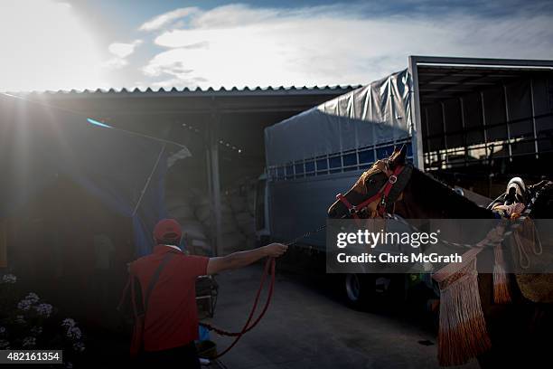 Man leads a horse to its stable after being prepared in traditional dress ahead of the Soma Nomaoi festival on July 26, 2015 in Soma, Japan. Every...