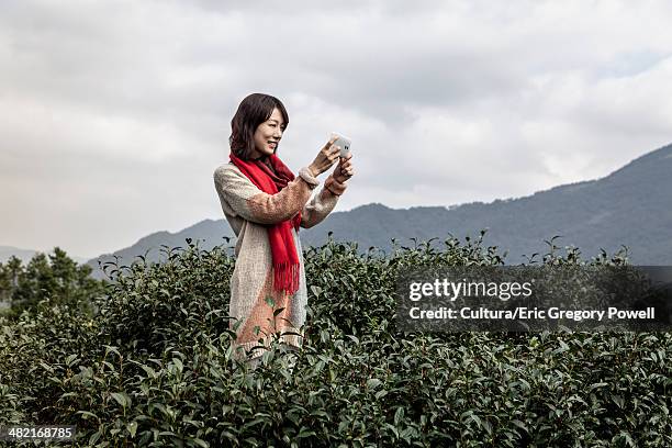 young woman taking photo on tea plantation, taipei, taiwan - cultura orientale photos et images de collection