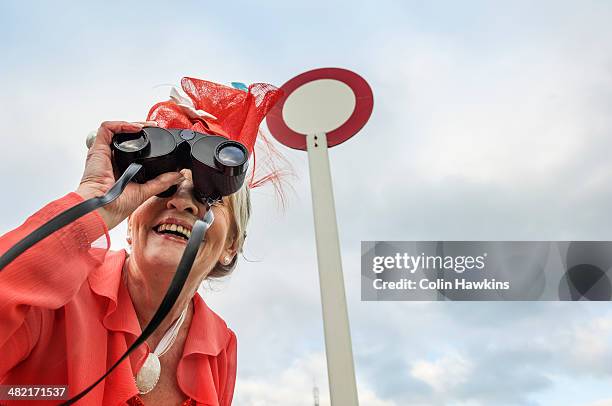 senior woman at races leaning forward and looking through binoculars - race day stockfoto's en -beelden