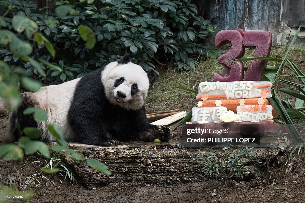 HONG KONG-ANIMAL-PANDA-OLDEST