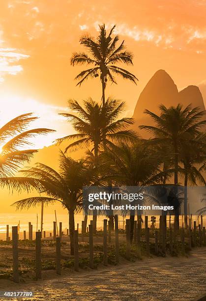 palm trees at sunset on ipanema beach, rio de janeiro, brazil - rio de janeiro beach stock pictures, royalty-free photos & images