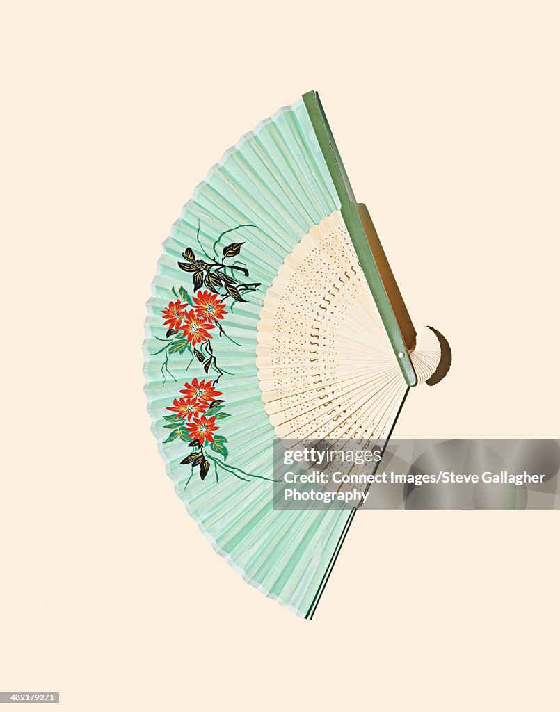 Close up of decorative fold out fan