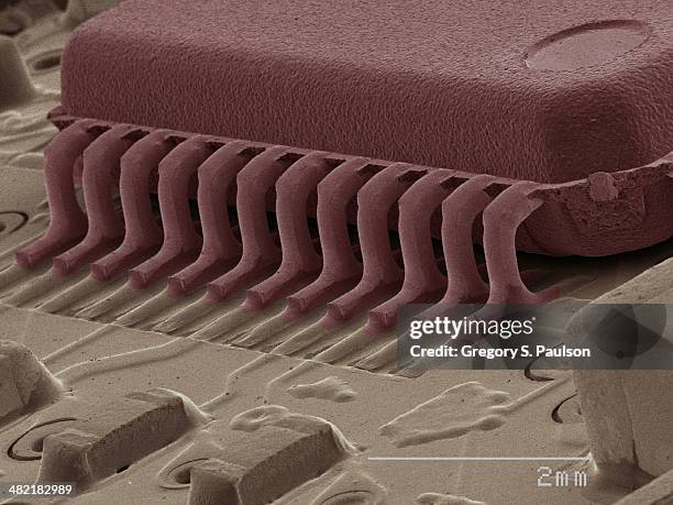 Sem Microchip 19 Sem Microchip Stock Photos, High-Res Pictures, and Images - Getty Images