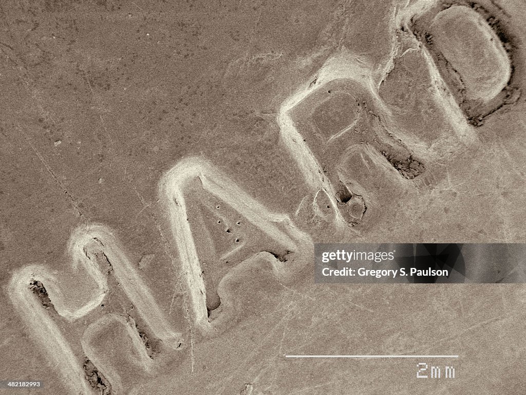 Coloured SEM of rubber haircomb