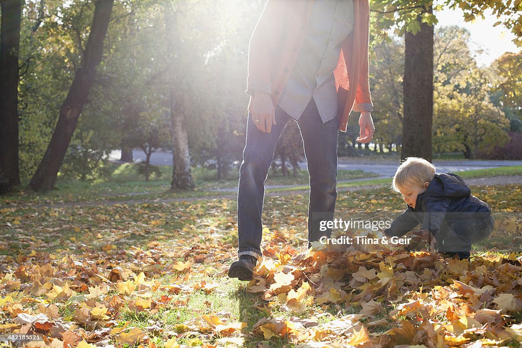 Father and son playing with autumn leaves