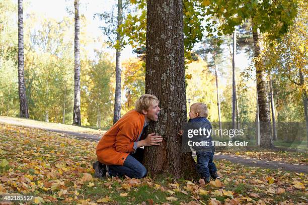 father and son playing at bottom of tree - hidw and seek stock pictures, royalty-free photos & images