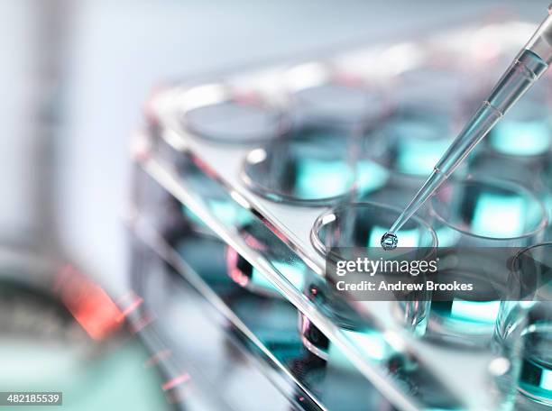 pipetting sample into multi well tray - chemical lab stockfoto's en -beelden