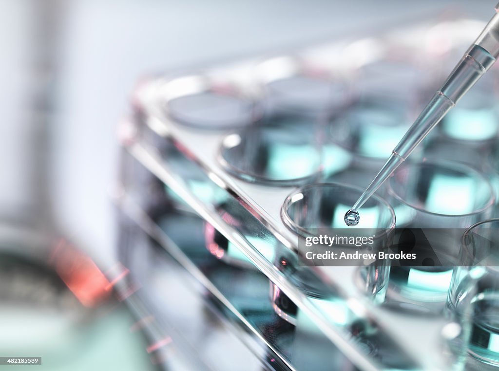 Pipetting sample into multi well tray