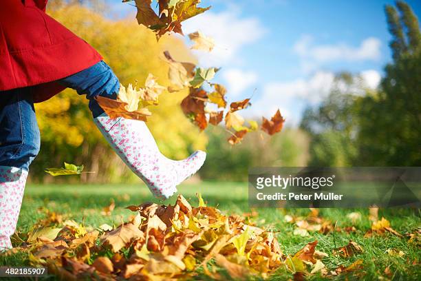 cropped shot of mature woman kicking autumn leaves in park - indian female feet foto e immagini stock