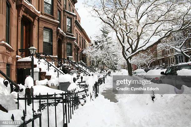 winter in bed-stuy, brooklyn - ice storm stock pictures, royalty-free photos & images
