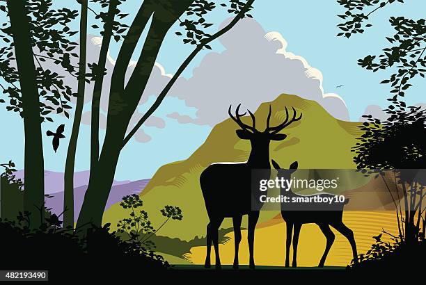 stockillustraties, clipart, cartoons en iconen met wild deer in countryside - deer